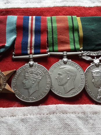 KSLI Territorial. Brinley L Watkins. Born Swansea. Died 1958.