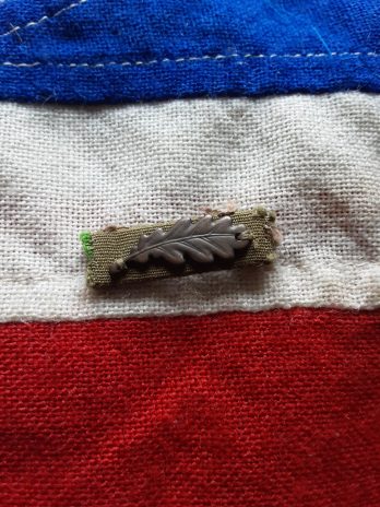 WWII Mentioned in Dispatches oakleaf. MID